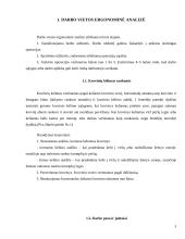 Išsami darbo vietos ergonomikos analizė 3 puslapis