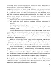 Išsami darbo vietos ergonomikos analizė 5 puslapis