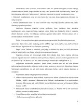 Išsami darbo vietos ergonomikos analizė 6 puslapis