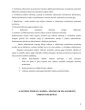 Išsami darbo vietos ergonomikos analizė 8 puslapis