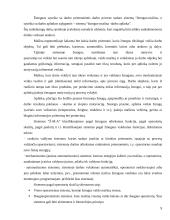 Išsami darbo vietos ergonomikos analizė 9 puslapis