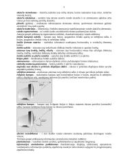 Saugos ir sveikatos reikalavimai dirbant kompiuteriu 5 puslapis