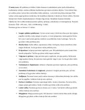 Bendruomenės slaugos individuali užduotis - situacijos analizė 2 puslapis