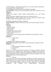 Patologijos klausimai 14 puslapis