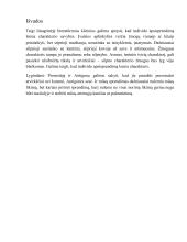 Kas lemia individo apsisprendimą? (Sofoklis, Marcinkevičius) 9 puslapis