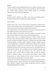 Ervingas Gofmanas 4 puslapis