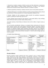 Ėsdinimo procesai 4 puslapis