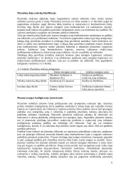 Ėsdinimo procesai 6 puslapis