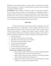 Etika ir jos laikymasis institucijose 2 puslapis