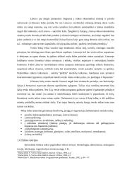 Etika ir socialinė atsakomybė 2 puslapis