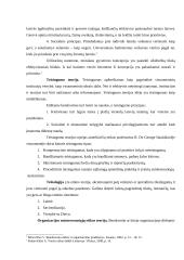 Etika ir socialinė atsakomybė 4 puslapis