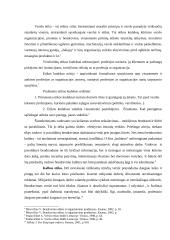 Etika ir socialinė atsakomybė 6 puslapis