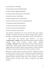 LR vyriausybė 5 puslapis