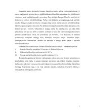 Etika kaip praktinė filosofija 2 puslapis