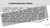 Apie Vokietijos Respubliką 8 puslapis