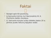 Antanas Samuolis 13 puslapis