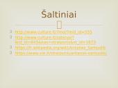 Antanas Samuolis 14 puslapis