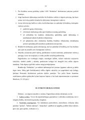 Etikos kodeksas 13 puslapis