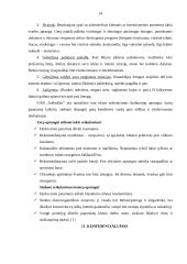 Etikos kodeksas 14 puslapis