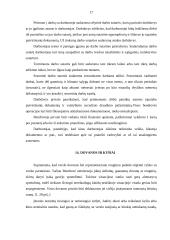 Etikos kodeksas 17 puslapis