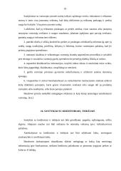 Etikos kodeksas 19 puslapis