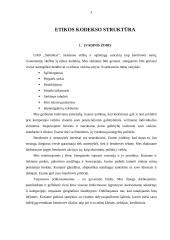 Etikos kodeksas 3 puslapis