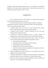 Etikos kodeksas 5 puslapis