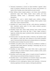 Etikos kodeksas 6 puslapis