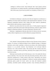 Etikos kodeksas 8 puslapis