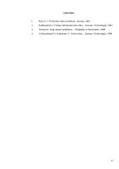 Etikos problemos ir jų sprendimas 17 puslapis