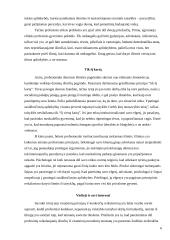 Etikos problemos ir jų sprendimas 6 puslapis