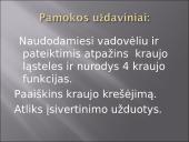 Kraujas - skystas audinys 2 puslapis