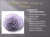 Kraujas - skystas audinys 11 puslapis