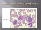 Kraujas - skystas audinys 13 puslapis