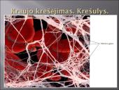 Kraujas - skystas audinys 14 puslapis