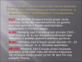 Kraujas - skystas audinys 16 puslapis