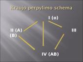 Kraujas - skystas audinys 19 puslapis