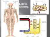 Kraujas - skystas audinys 20 puslapis