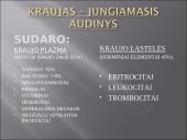 Kraujas - skystas audinys 5 puslapis