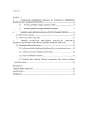 Sveikatos priežiūros darbuotojų darbo laiko ypatumai 2 puslapis