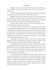 Etikos problemos ir jų sprendimai 12 puslapis