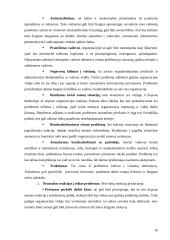 Etikos problemos ir jų sprendimai 16 puslapis