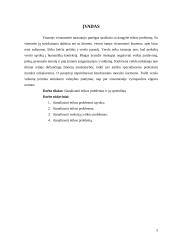 Etikos problemos ir jų sprendimai 3 puslapis