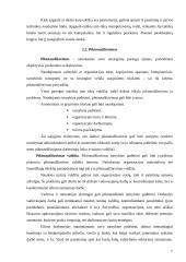 Etikos problemos ir jų sprendimai 7 puslapis