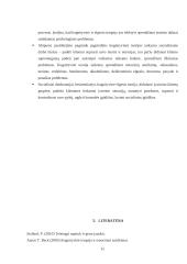 Kognityvinės teorijos pritaikymas socialiniame darbe  11 puslapis