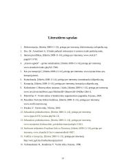 Mikroetikos ir makroetikos problemos rekreacijoje ir turizme 13 puslapis