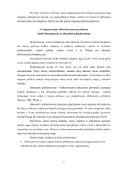 Mikroetikos ir makroetikos problemos rekreacijoje ir turizme 5 puslapis