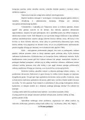 Mikroetikos ir makroetikos problemos rekreacijoje ir turizme 7 puslapis