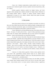 Mikroetikos ir makroetikos problemos rekreacijoje ir turizme 10 puslapis