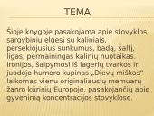 12 klasės literatūros kurso kartojimas (B. Sruoga, A. Škėma, M. Katiliškis) 5 puslapis